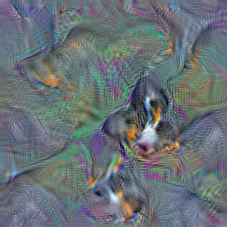 n02107908